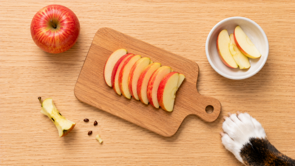 can-dogs-eat-apples-preparation-inline Apple sliced and cored for dog-safe serving, with seeds and core shown separately as what to remove