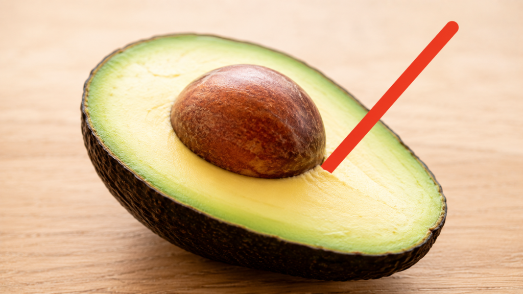 Halved avocado showing the large pit, which is a choking hazard for dogs