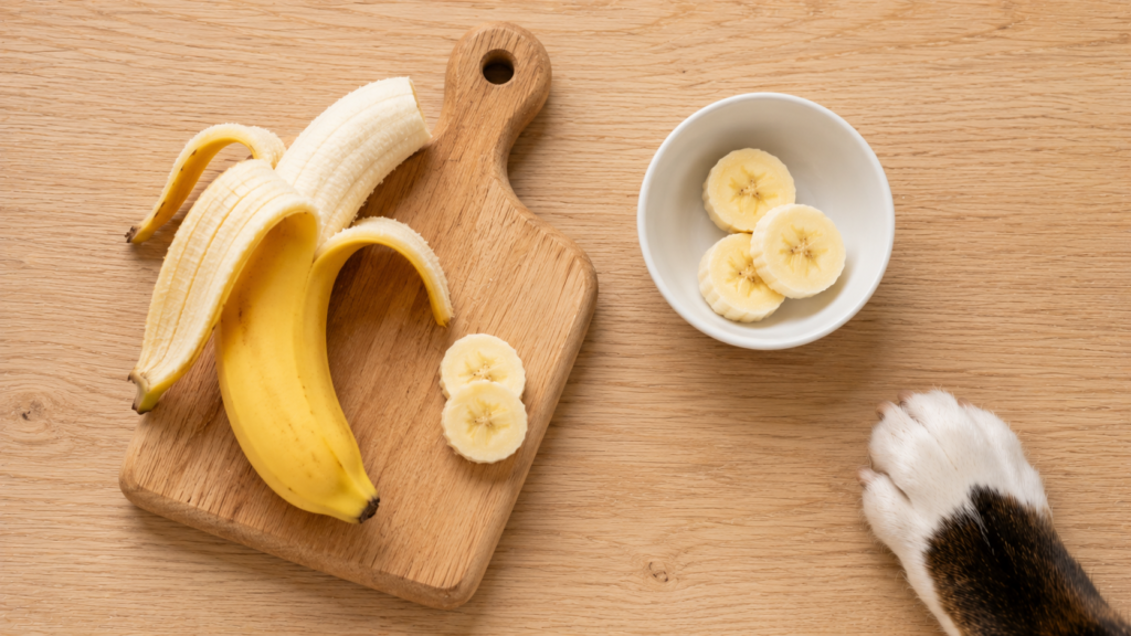 can-dogs-eat-bananas-preparation-inline Sliced banana prepared as a dog-safe treat on a wooden surface