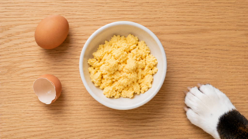 can-dogs-eat-eggs-preparation-inline Plain scrambled egg in a bowl beside a whole egg — cooked eggs are safe and nutritious for dogs